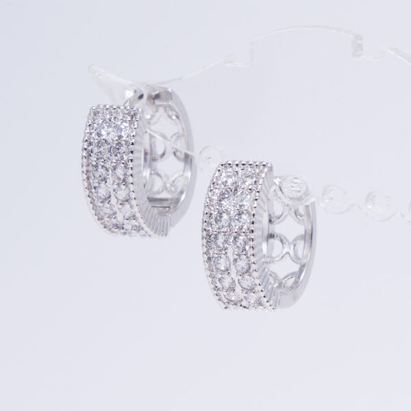 Earrings rings